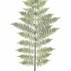 Fern Spray 94 in. Green