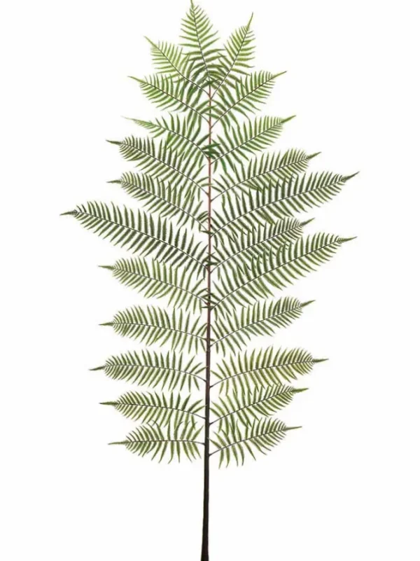 Fern Spray 94 in. Green