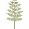 Fern Spray 66 in. Green