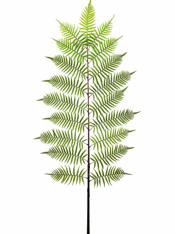 fern_spray__in_green_0.webp Fern Spray 84 in. Green