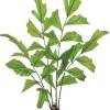 Fishtail Palm 31 in. Green