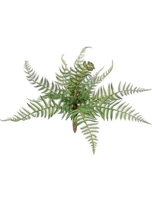 Forest Fern 12 in.