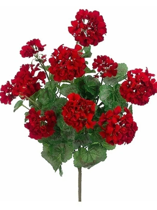geranium_bush__in_red_0-1.webp Geranium Bush 24 in. Red