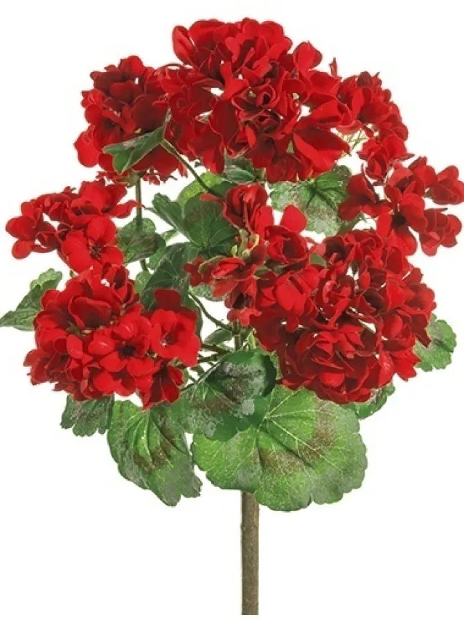 geranium_bush__in_red_0-2.webp Geranium Bush 24 in. Red