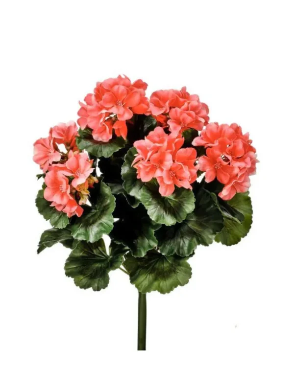 Geranium Bush 17 in. Salmon
