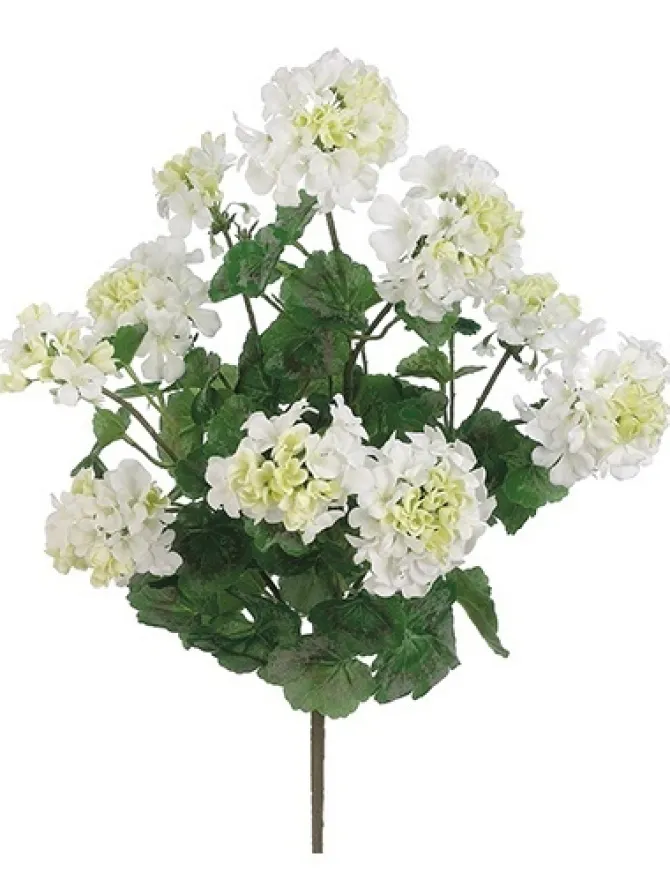 geranium_bush__in_white_0-1.webp Geranium Bush 24 in. White