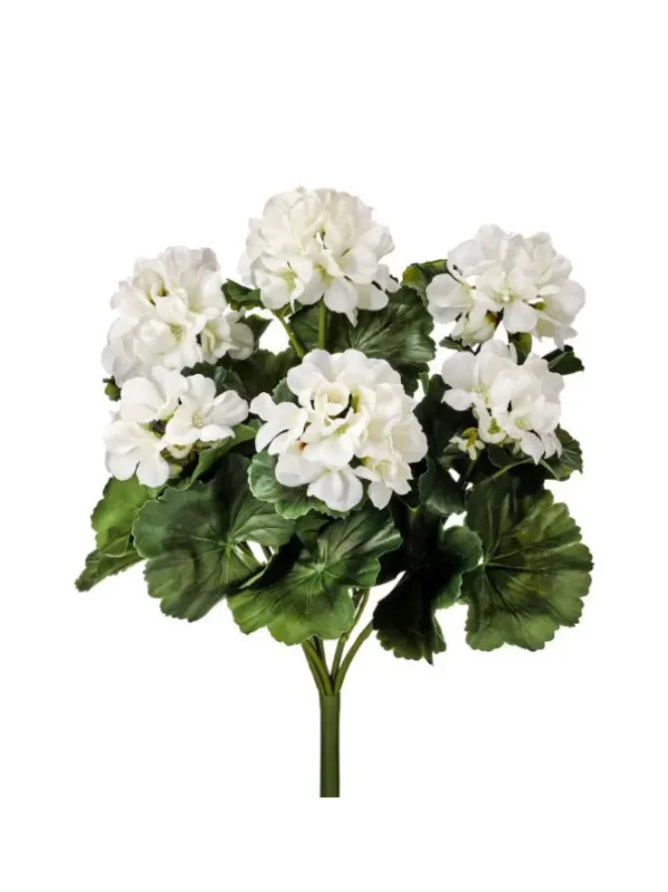 Geranium Bush 17 in. White