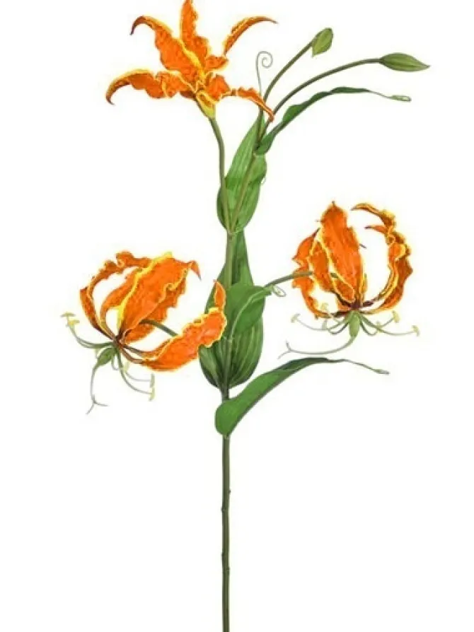 gloriosa_lily_w_buds__in__0.webp Gloriosa Lily w/ Buds 30 in. Orange