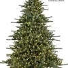 Grand Spruce LED 12 Feet