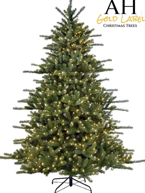 Grand Spruce LED 12 Feet
