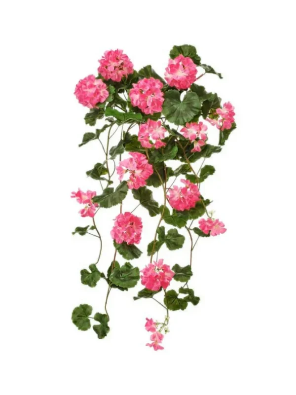 Hanging Geranium Plant 36 in. Pink