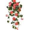 Hanging Geranium Plant 36 in. Salmon