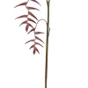 Hanging Heliconia 70 in. Red