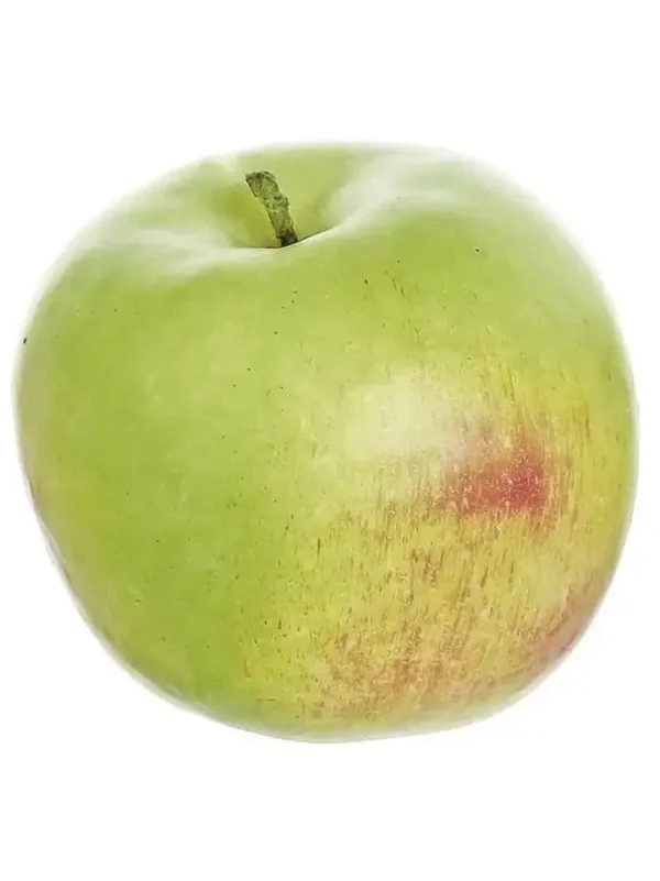 Honeycrisp Apple 4 in. Green