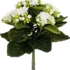 Kalanchoe Bush 9 in. White