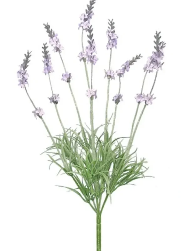 Lavender Bush 14 in.