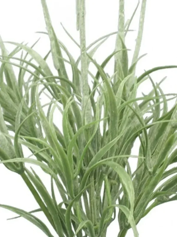 Lavender Bush 14 in.