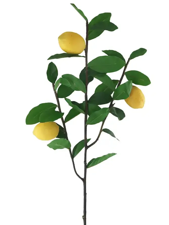 lemon_pick__in_0.webp Lemon Pick 39 in.