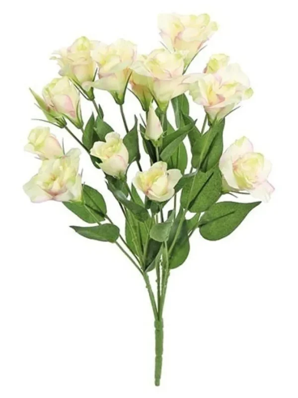 Lisianthus Bush 20.5 in. Pink / Cream