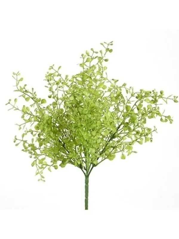 Maidenhair Bush 12 in. Green