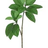 Mangrove Leaf Spray 36 in. Green