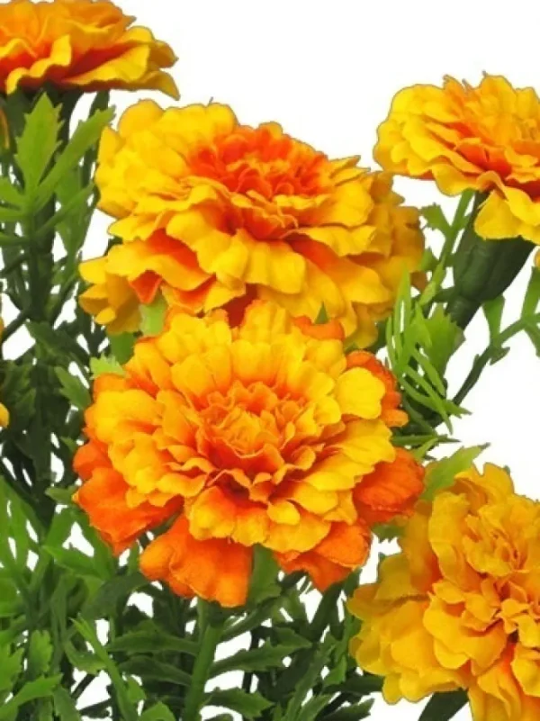 Marigold Bush 14 in. Yellow / Orange