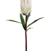 Mink Protea 29 in. White