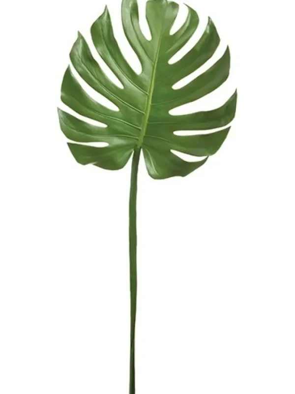 Monstera Leaf 41 in. Green