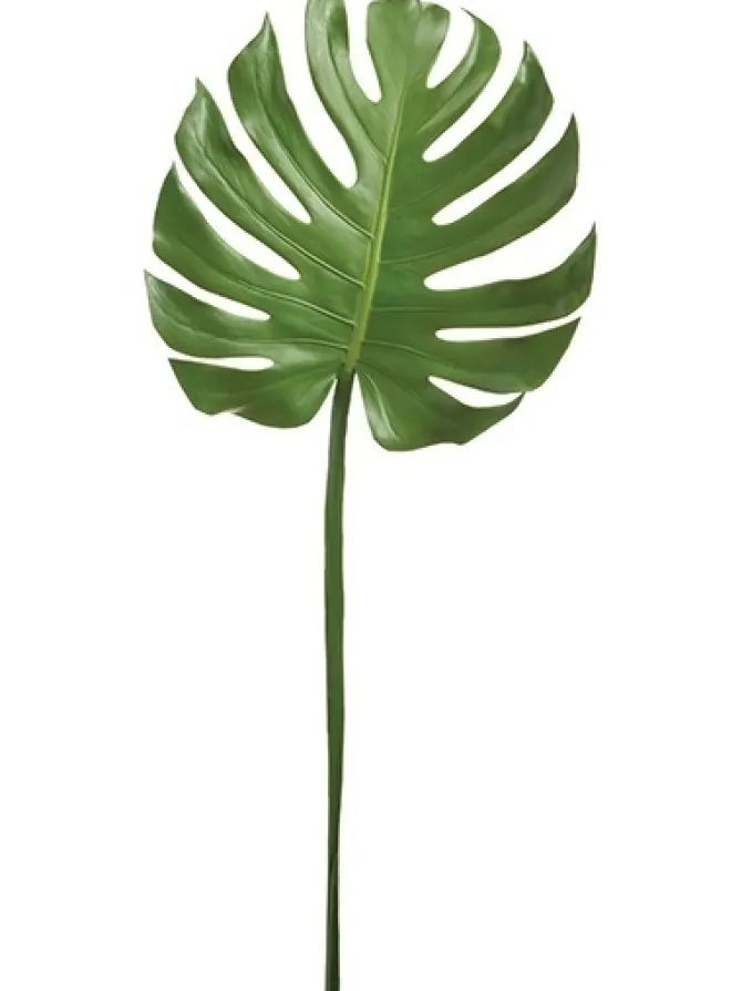 monstera_leaf__in_green_0.webp Monstera Leaf 41 in. Green