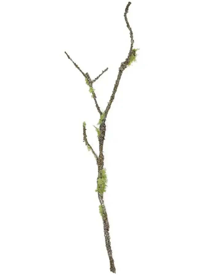 mossy_stick__in_greenbrow_0.webp Mossy Stick 48 in. Green/Brown