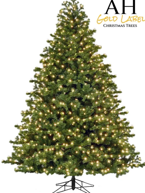 Mountain Fir LED 7.5 FT