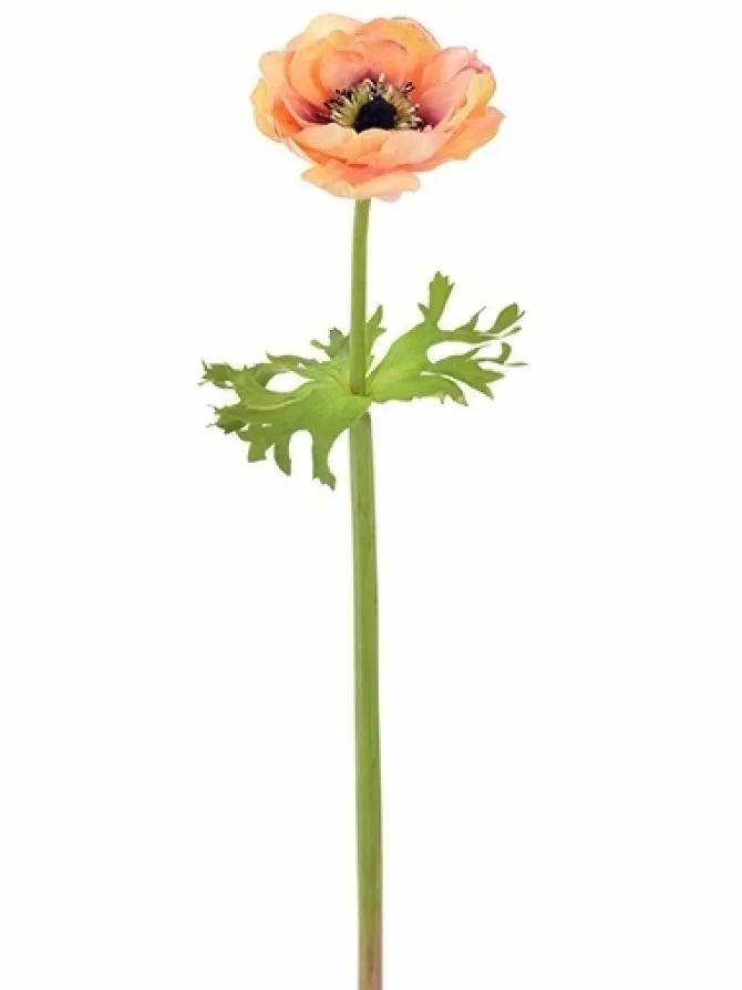 natural_touch_anemone__in_0-1.webp Natural Touch Anemone 17.5 in. Coral
