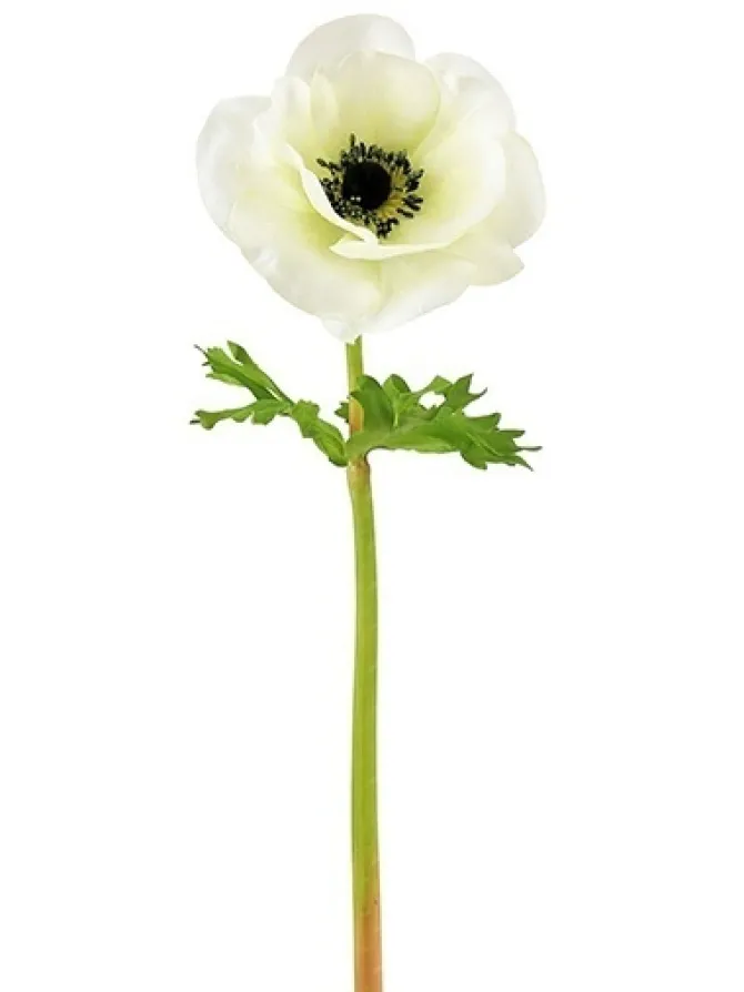 natural_touch_anemone__in_0-4.webp Natural Touch Anemone 17.5 in. White