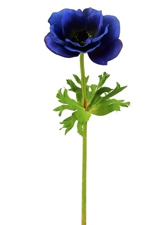 natural_touch_anemone__in_0.webp Natural Touch Anemone 17.5 in. Blue