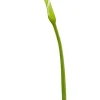 Natural Touch Calla Lily Bud 28 in. Light Green