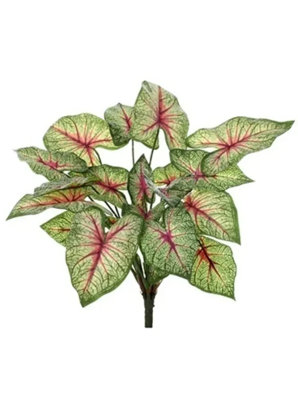 Natural Touch Calladium 13 in.