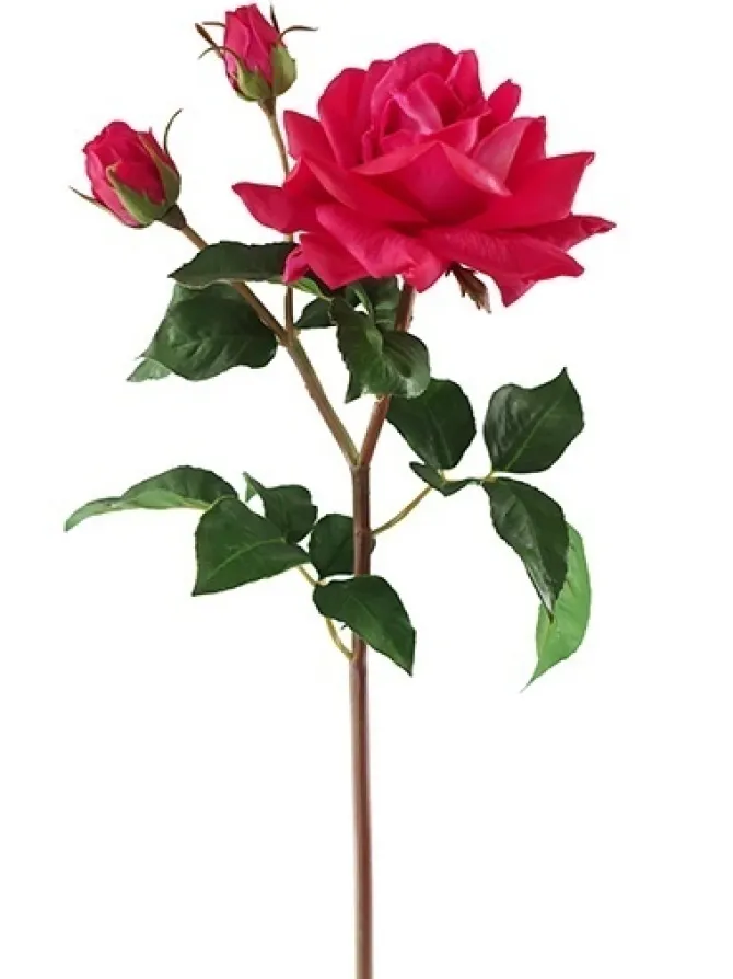 natural_touch_garden_rose_0.webp Natural Touch Garden Rose 22 in. Fuchsia