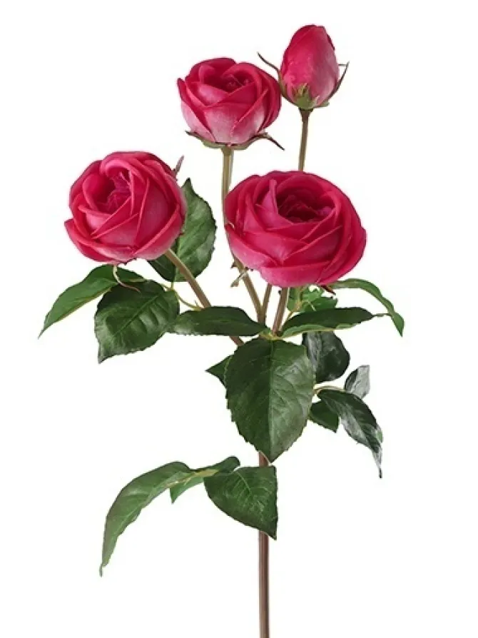 natural_touch_heritage_ro_0.webp Natural Touch Heritage Rose 23 in. Fuchsia