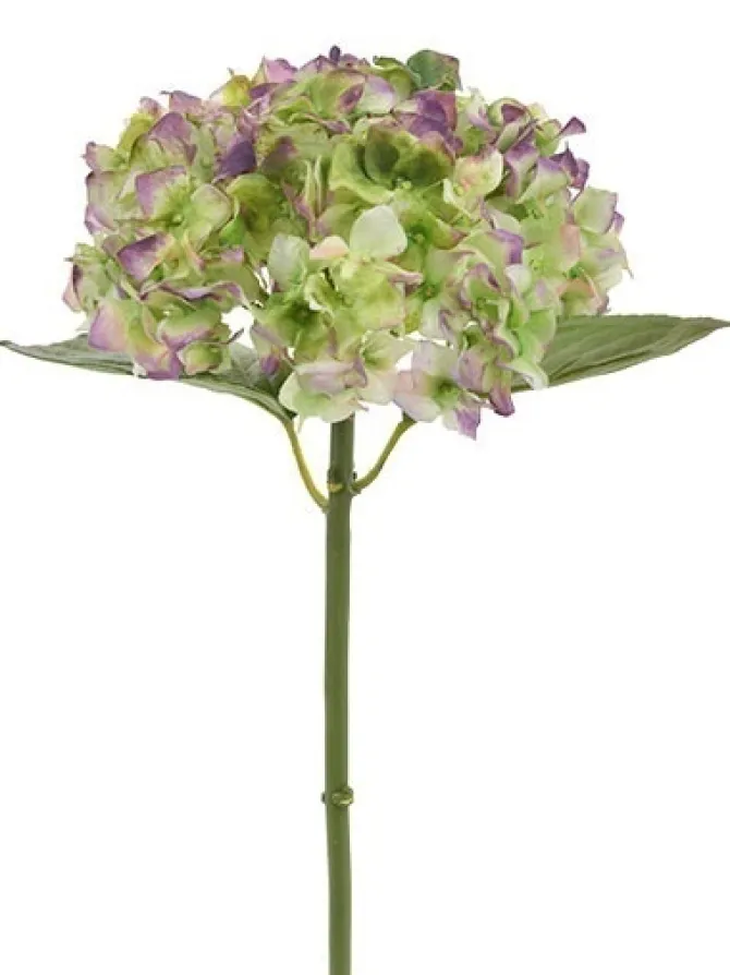 natural_touch_hydrangea___0-7.webp Natural Touch Hydrangea 18 in. Green / Purple