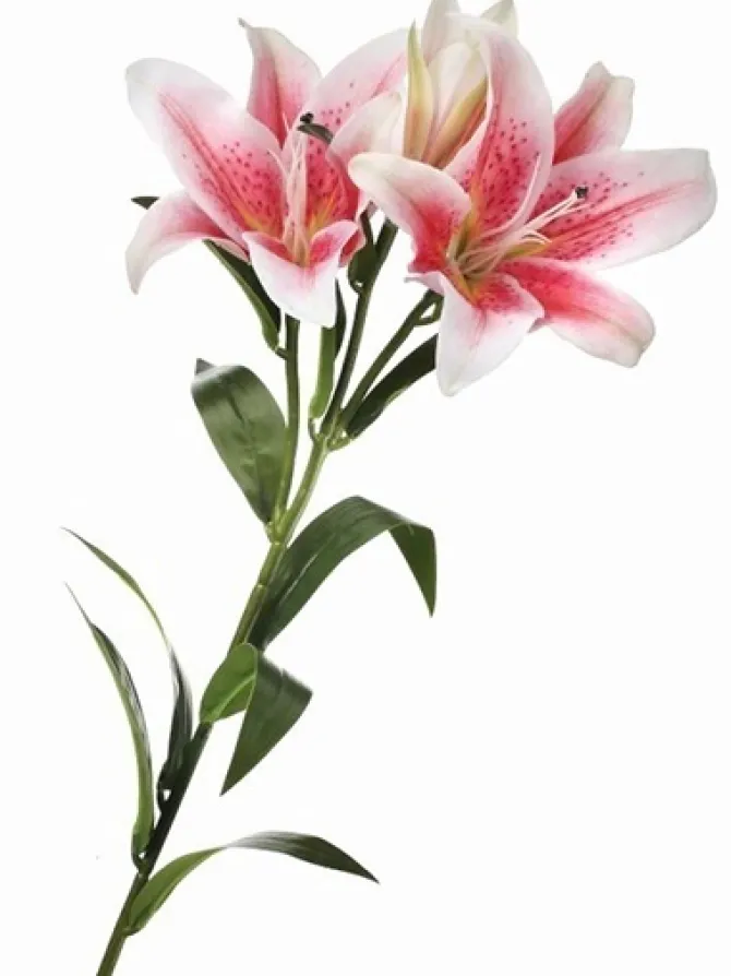 natural_touch_lily__in_pi_0.webp Natural Touch Lily 34 in. Pink / White