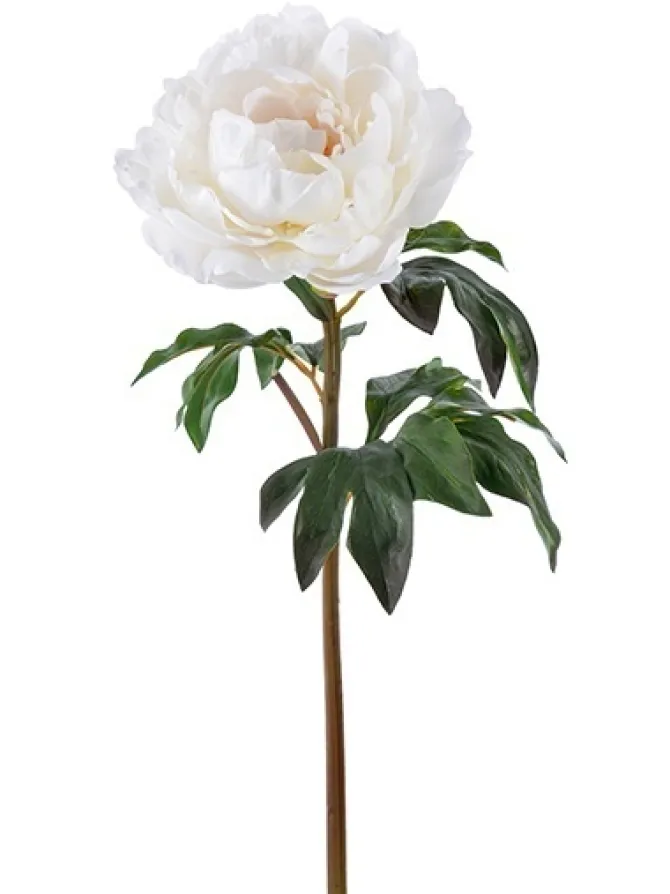 natural_touch_peony__in_b_0.webp Natural Touch Peony 20.5 in. Beige