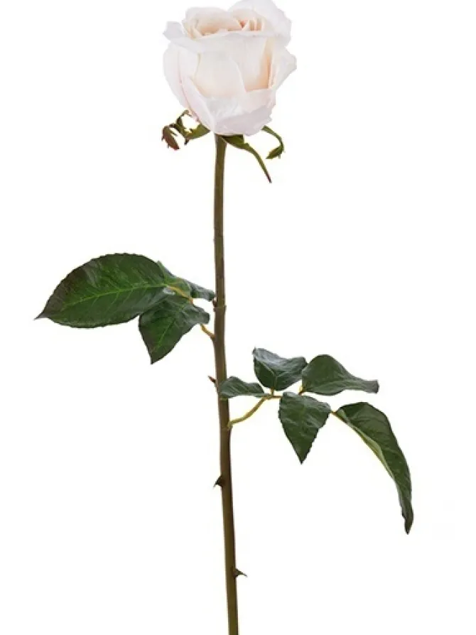 natural_touch_rose_bud_pi_0-3.webp Natural Touch Rose Bud Pick 20.5 in. Light Pink
