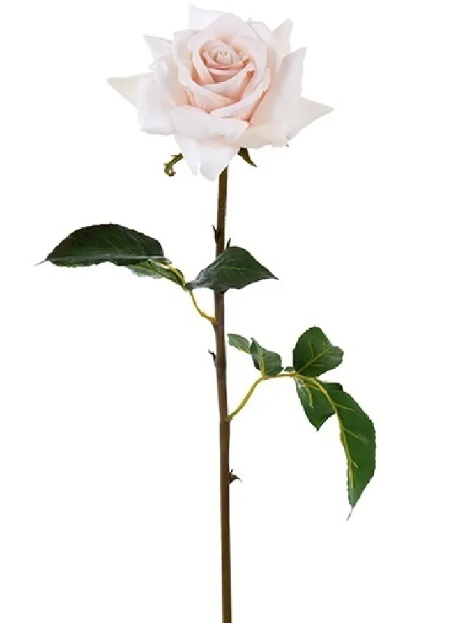 natural_touch_rose_dutche_0-2.webp Natural Touch Rose Dutchess Open 20 in. Deep Pink