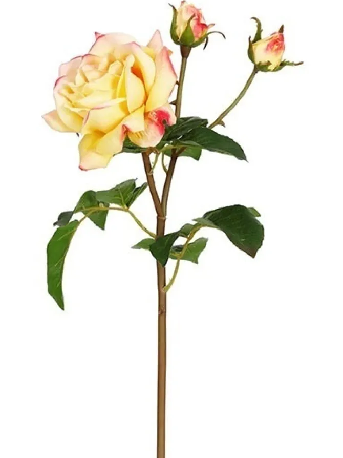 natural_touch_rose_sweet__0-1.webp Natural Touch Rose Sweet Juliet 22 in. Coral