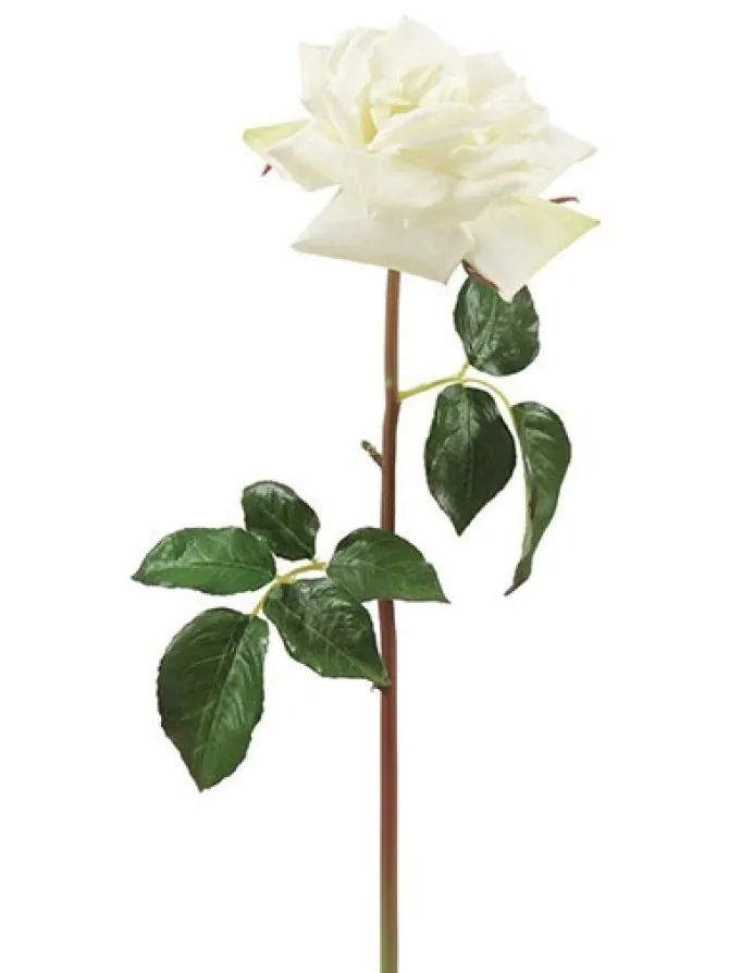 natural_touch_rose_westmi_0-2.webp Natural Touch Rose Westminster 20.5 in. White