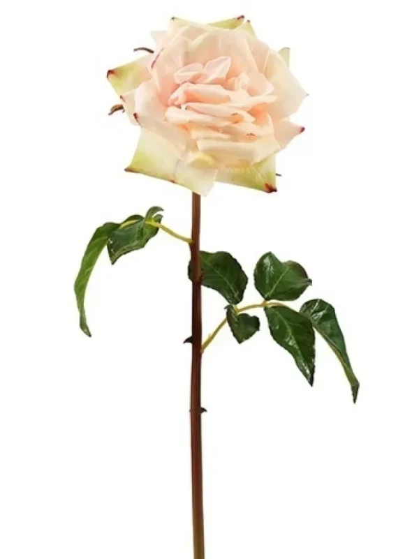 Natural Touch Rose Westminster 20.5 in. Champagne