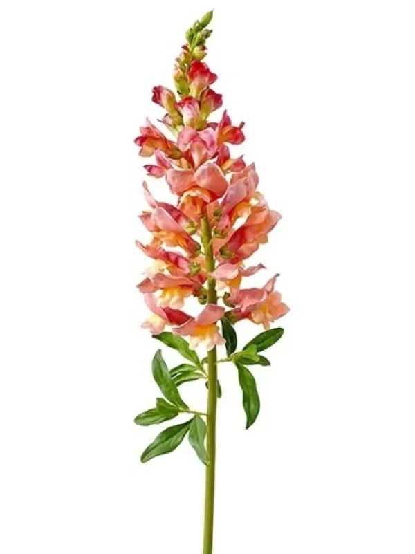 Natural Touch Snapdragon 30 in. Salmon