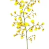 Oncidium Orchid 36.5 in. Yellow