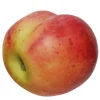 Peach 3.5 in.