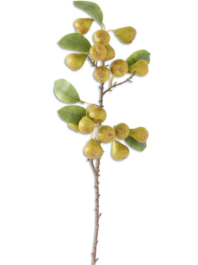 pear_stem__in_0.webp Pear Stem 30 in.